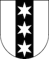 Umzug Binningen Wappen