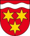 Umzug Birsfelden Wappen