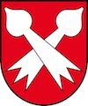Umzug Bottmingen Wappen