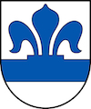 Umzug Pfeffingen Wappen Baselland