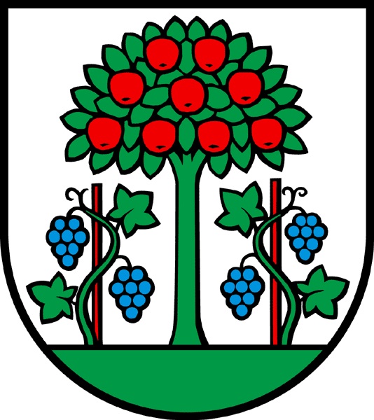 Möbellift Mieten Magden Wappen